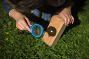 Burn Your Name into Wood with a Magnifying Glass