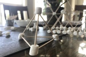 Marshmallow and Toothpick Structures